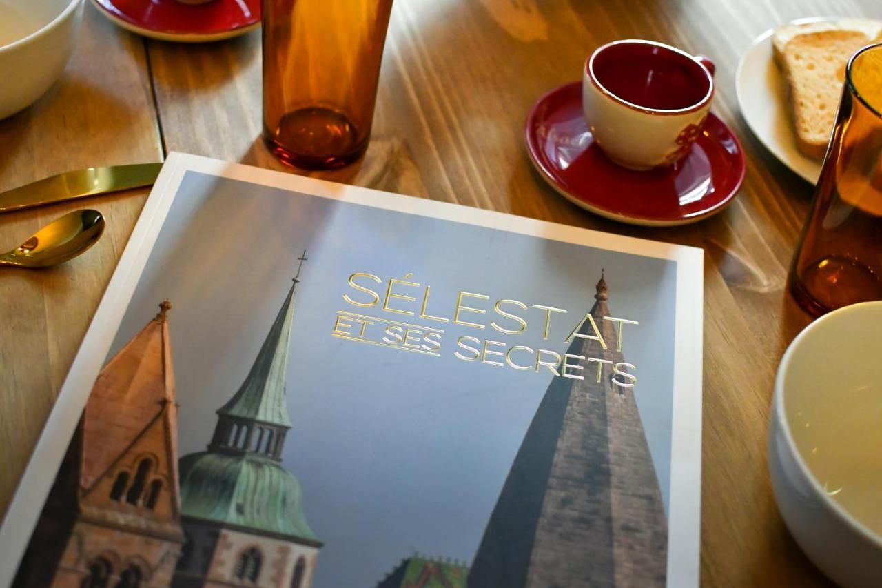 Apartament Au Fil Du Temps Sélestat Zewnętrze zdjęcie